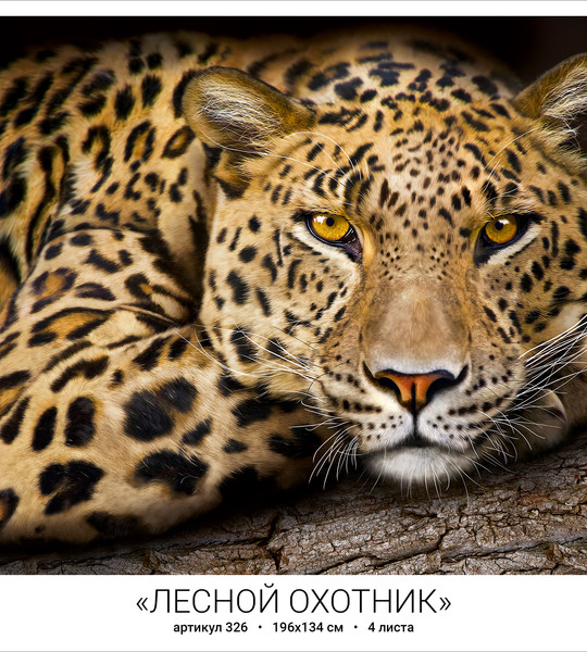 Лесной охотник (4л)
