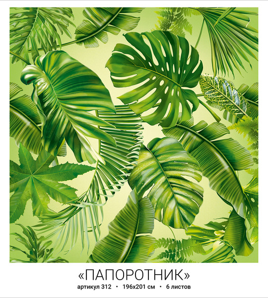 Папоротник (6л)