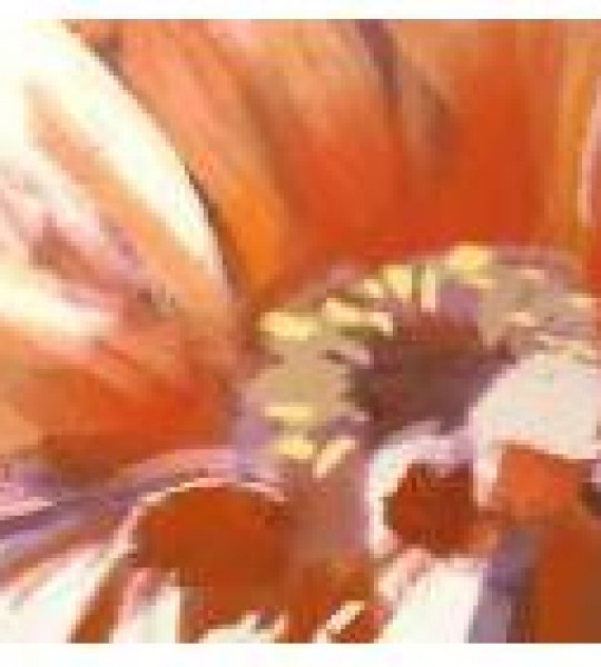 Фартук (фотопечать) 600*3000 Современная живопись4 646