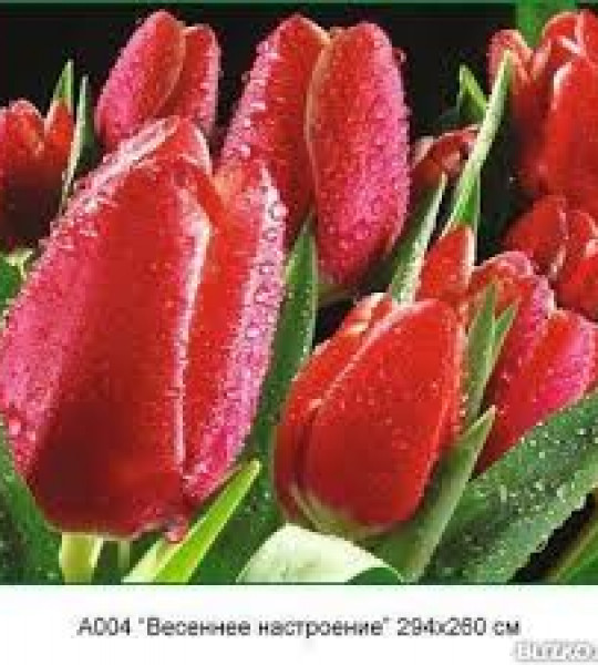Весеннее настроение (12л) VIP С