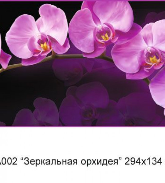 Зеркальная орхидея (6л) VIP С
